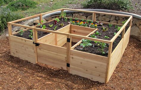 Raised garden beds are a great way to create a beautiful, productive outdoor space. Whether you’re a beginner or an experienced gardener, raised beds can help you grow plants more ...